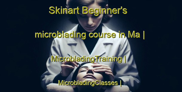 Skinart Beginner's microblading course in Ma | MicrobladingTraining | MicrobladingClasses | SkinartTraining-Congo